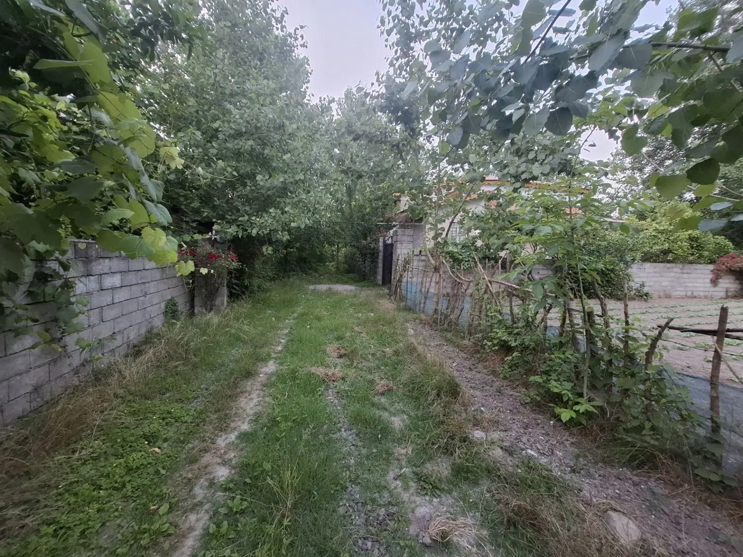 زمین مسکونی