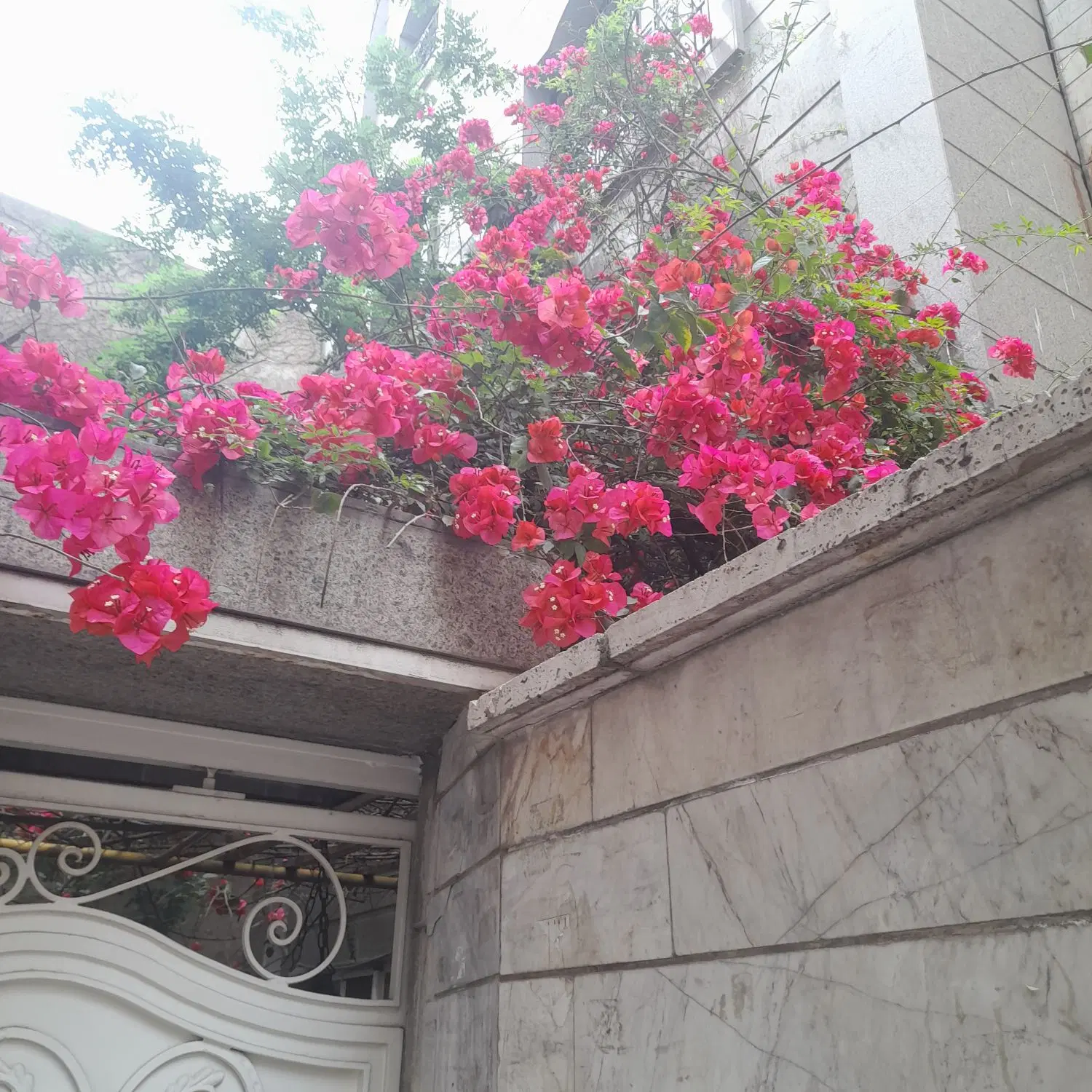 اجاره سوله در شهریار