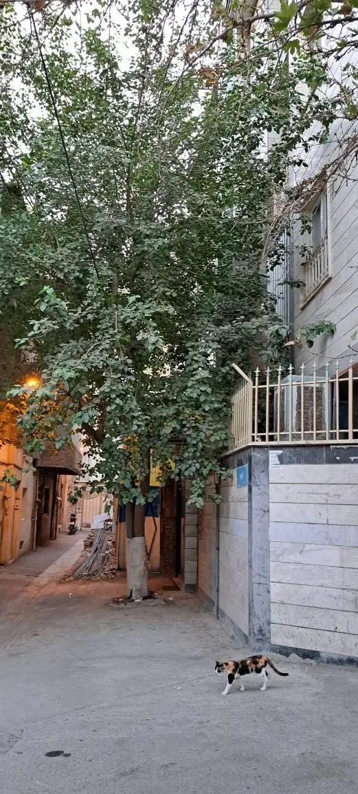 فروش اپارتمان