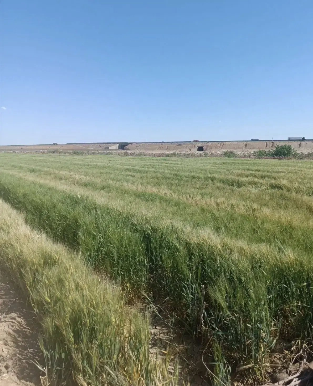 ملک سنددار