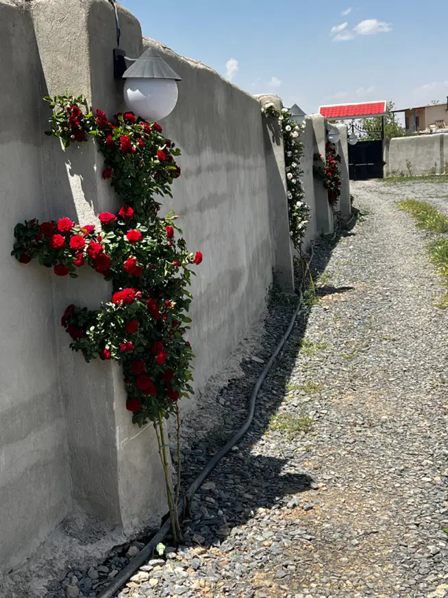 زمین مسکونی ۲۱۵متر مرزیجران