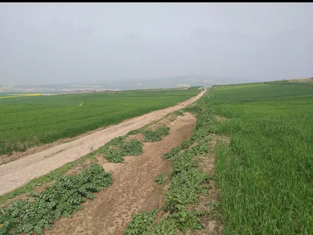 زمین باغی ۱۱۰۰ متر سند دار حاشیه خط گاز آیدرویش