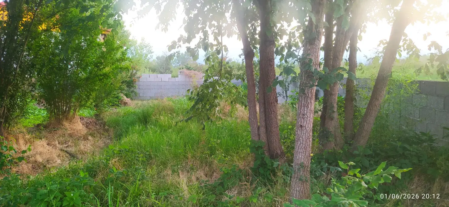 زمین مسکونی