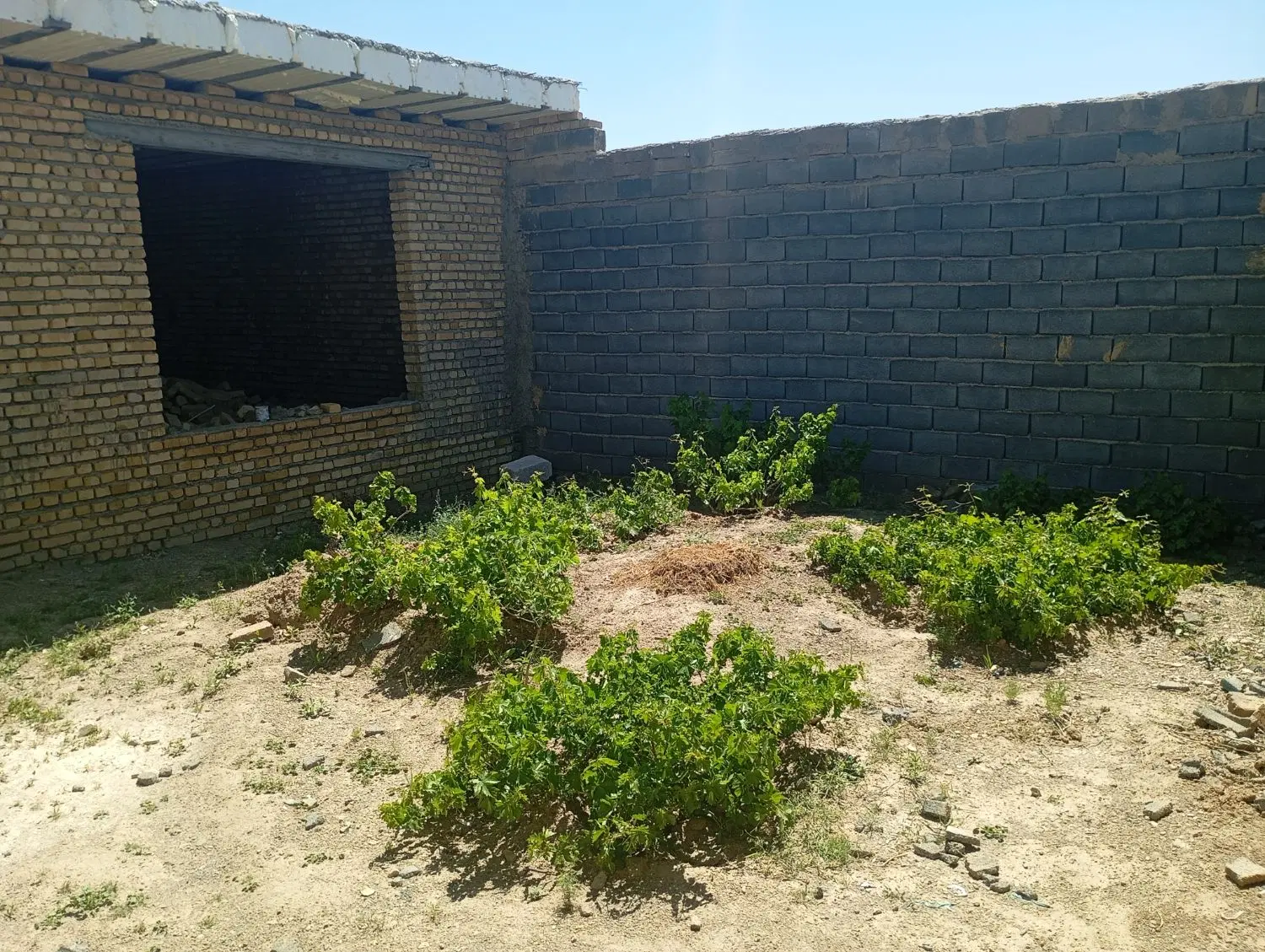 ساختمان مسکنی