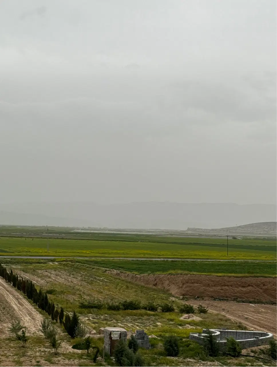 زمین و باغ پسته