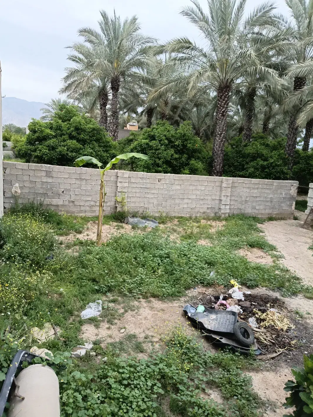 زمین برای باغچه وکارهای صنعتی