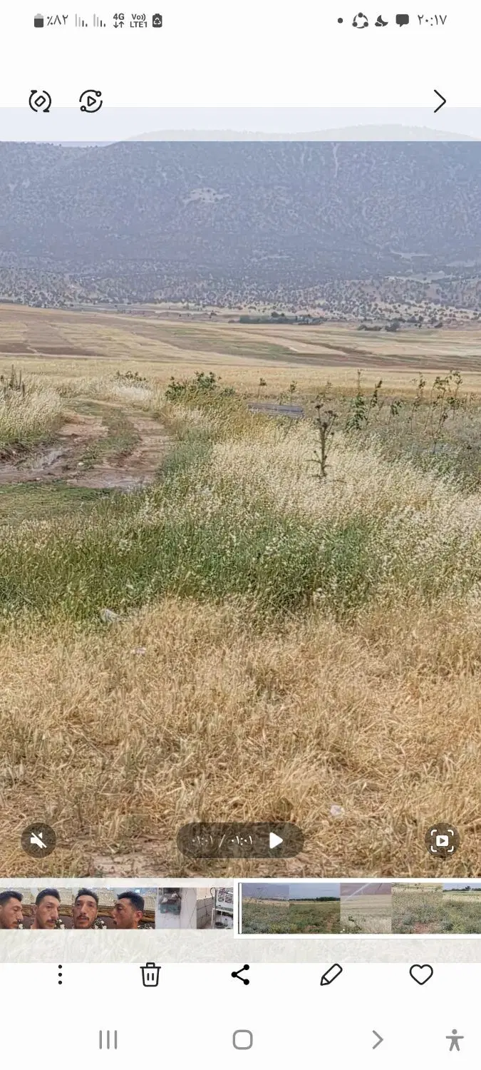 فروش باغ و باغچه