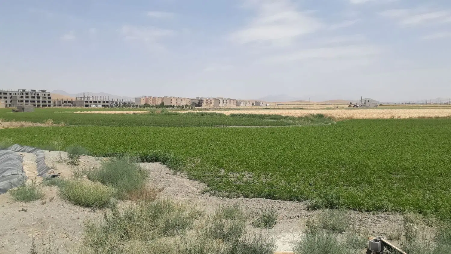 زمین برای باغچه با سند در شهر ازنا جنب مسکونی
