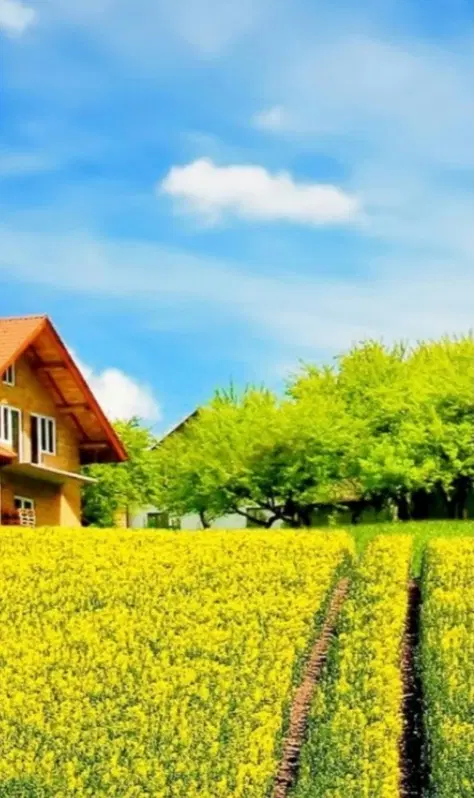 اجاره زمین کشاورزی