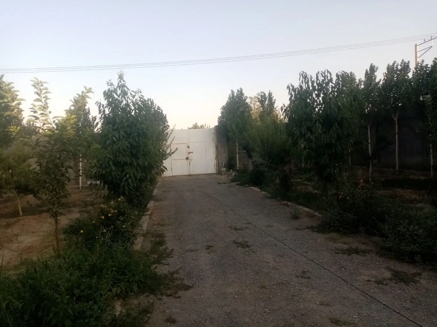 باغ 1000 متری