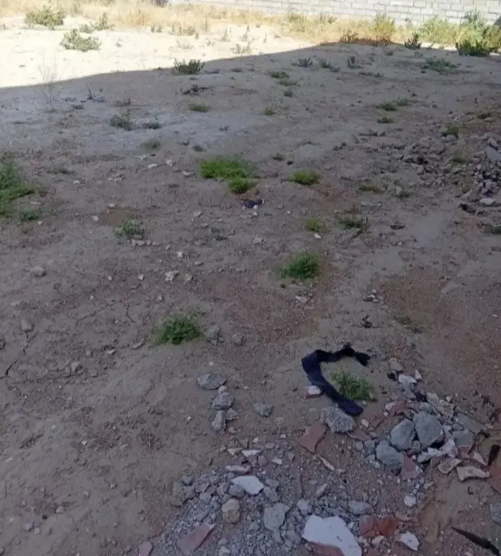 زمین برای کارگاه و باغچه و سوله