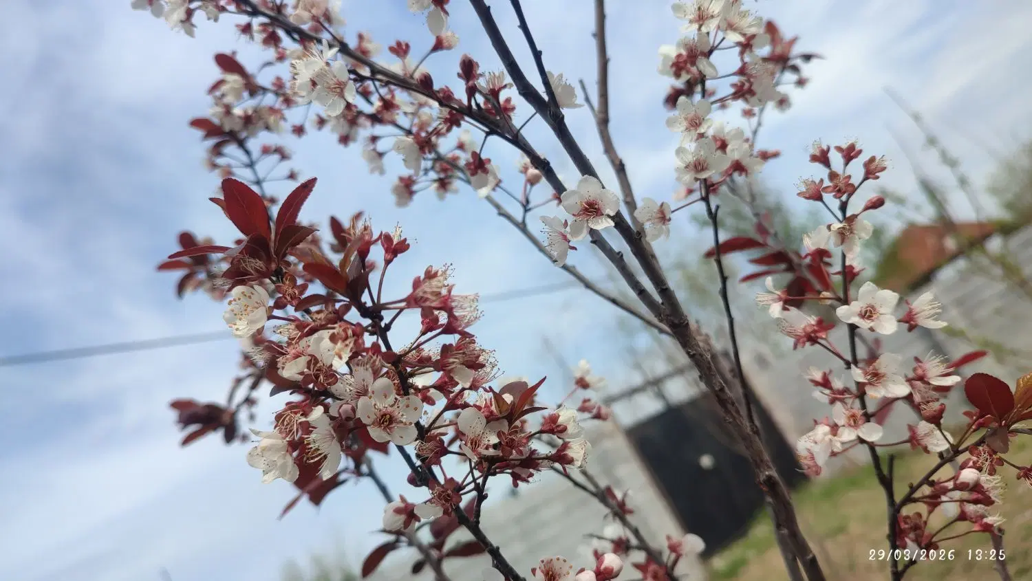 زمین روستایی کنار امتیازات