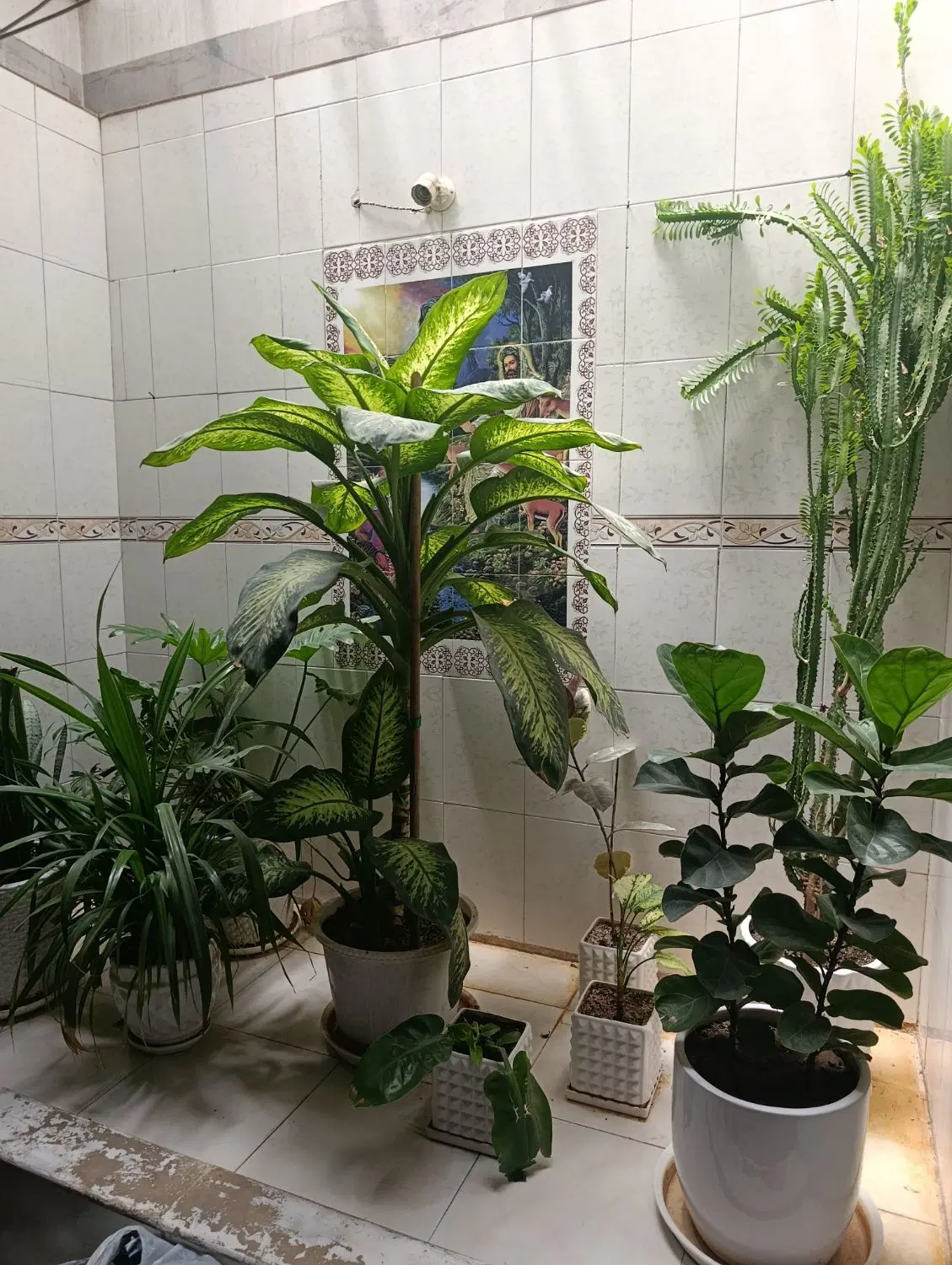 اجاره منزل دو خواب حیاط دار آبرنگی