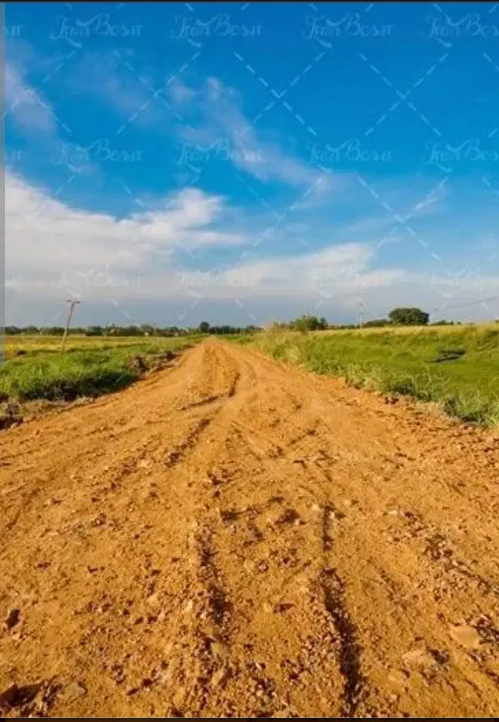 زمین