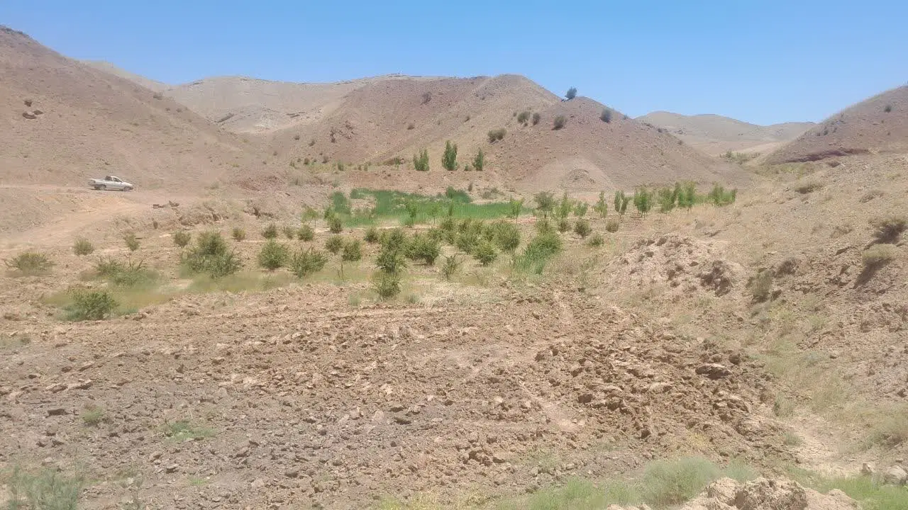 فروش زمین کشاورزی
