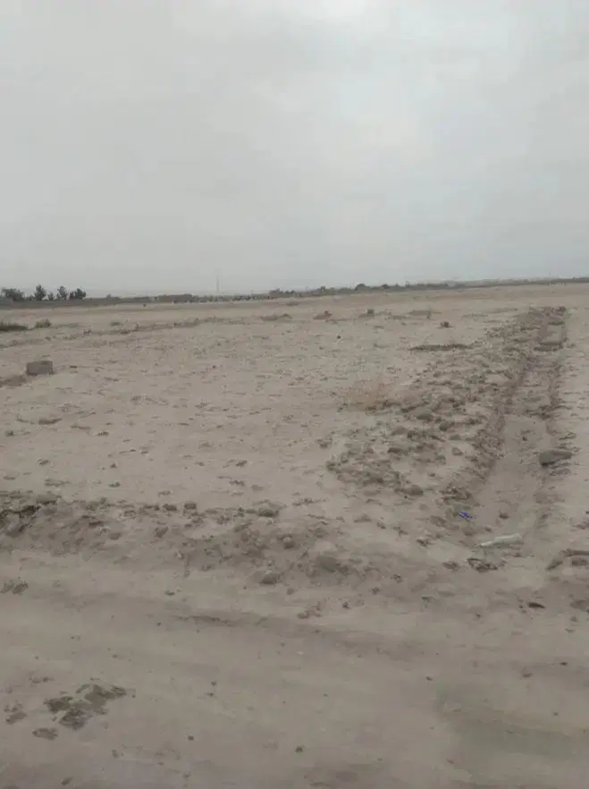 حراج زمین فرزند آوری