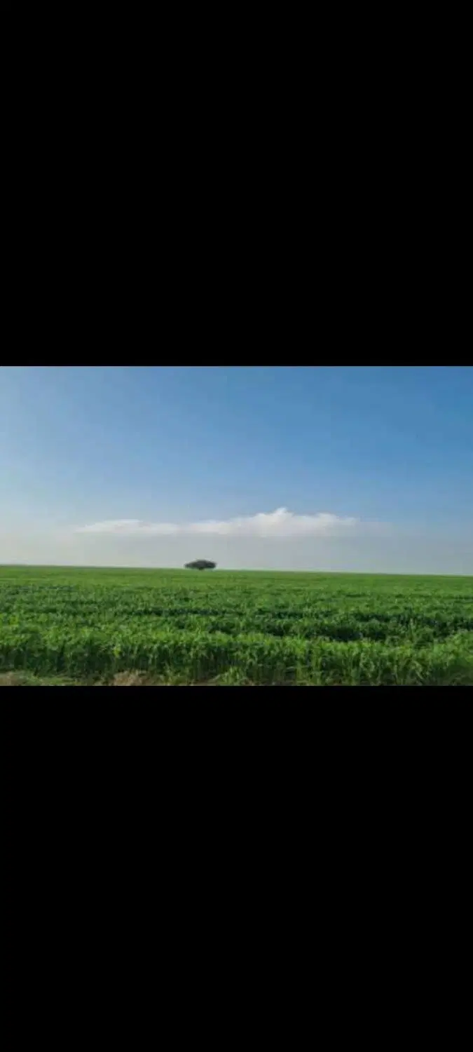 زمین کشاورزی