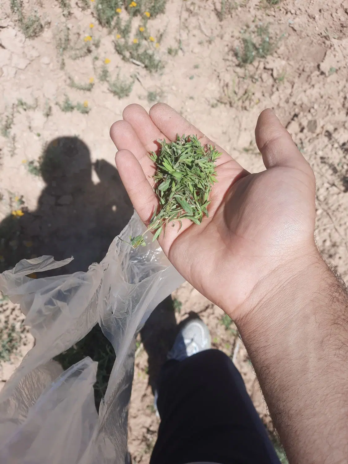 فروش زمین باغشهر
