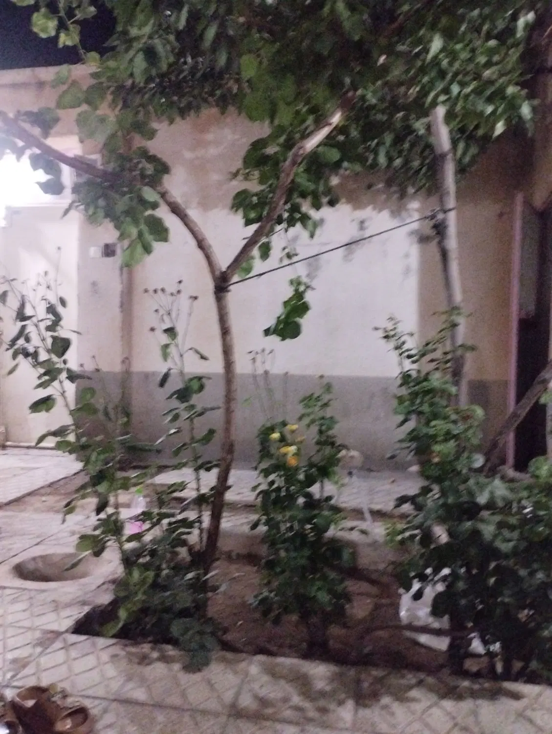 فروش زمین مسکونی دراوردکلو