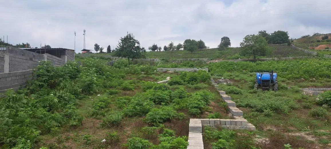 زمین  در لولاک (کد ۱)