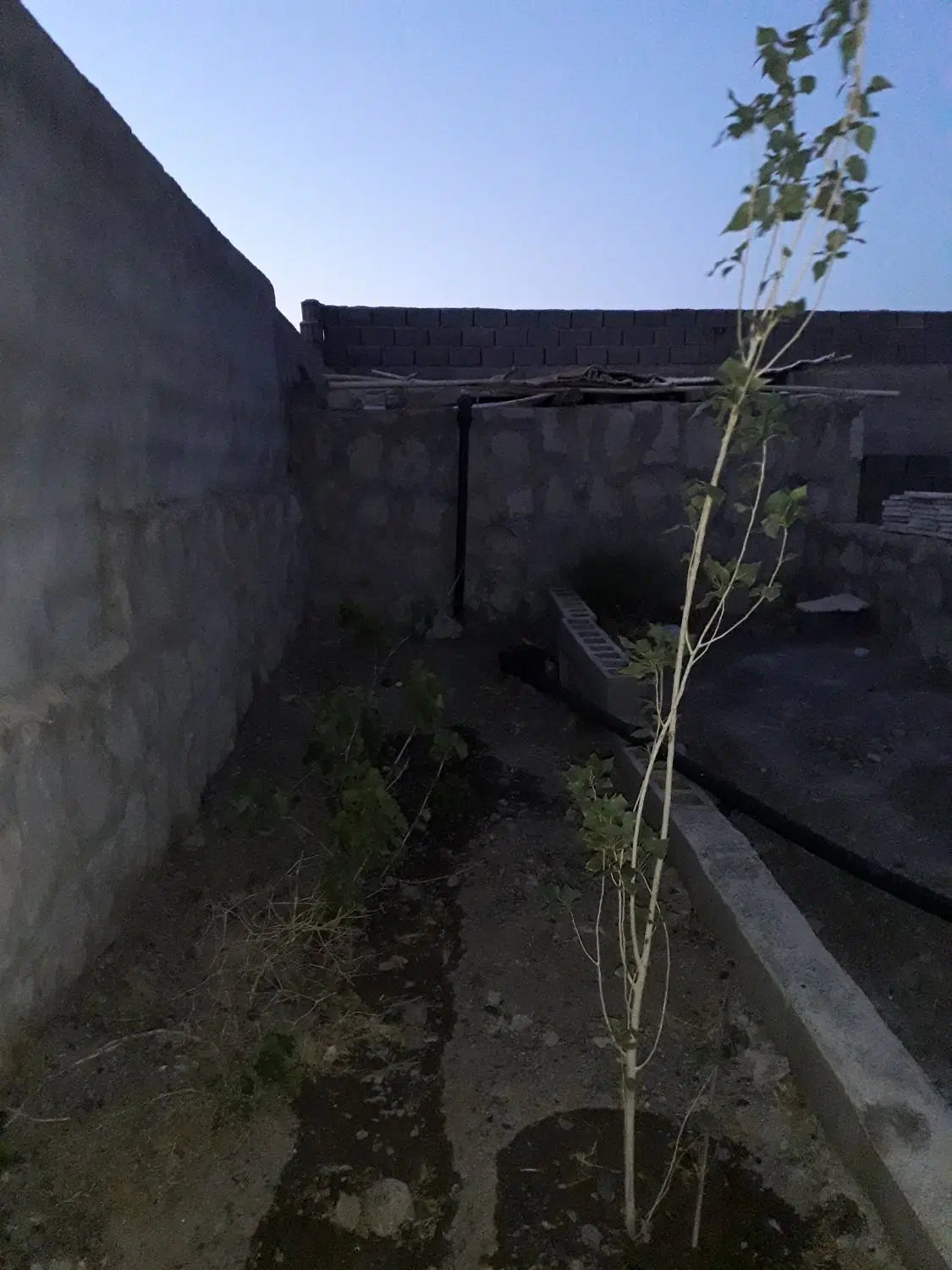زمین باغی قز