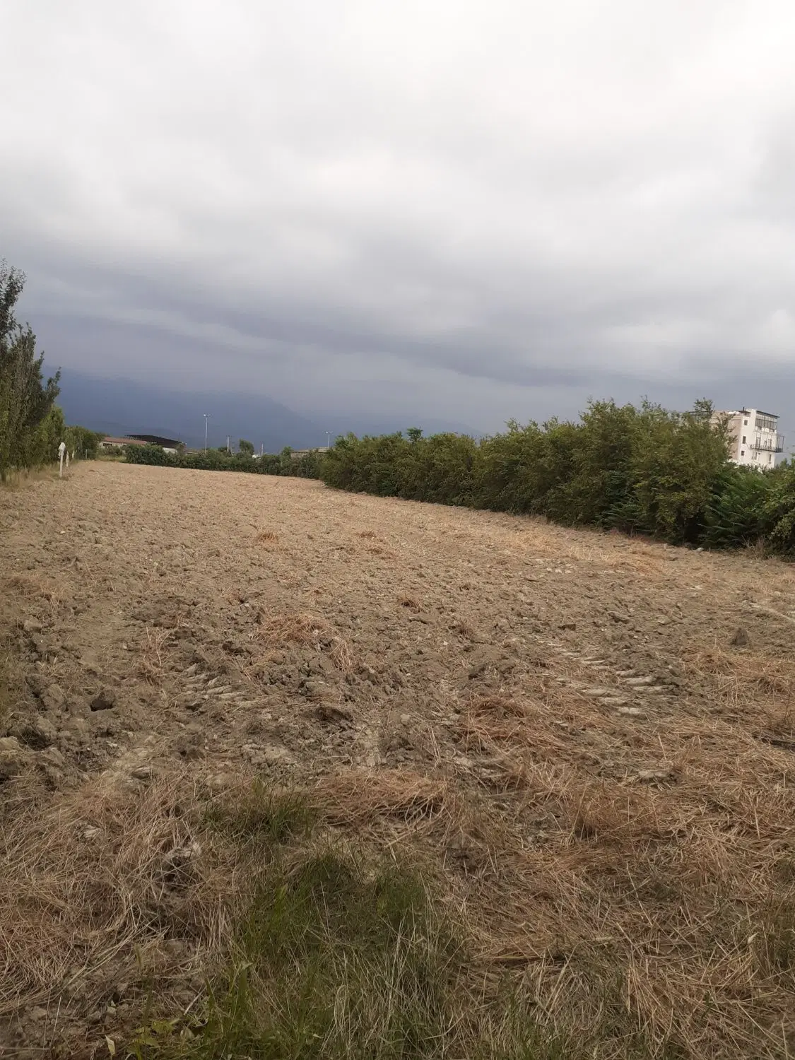 زمین کردکوی