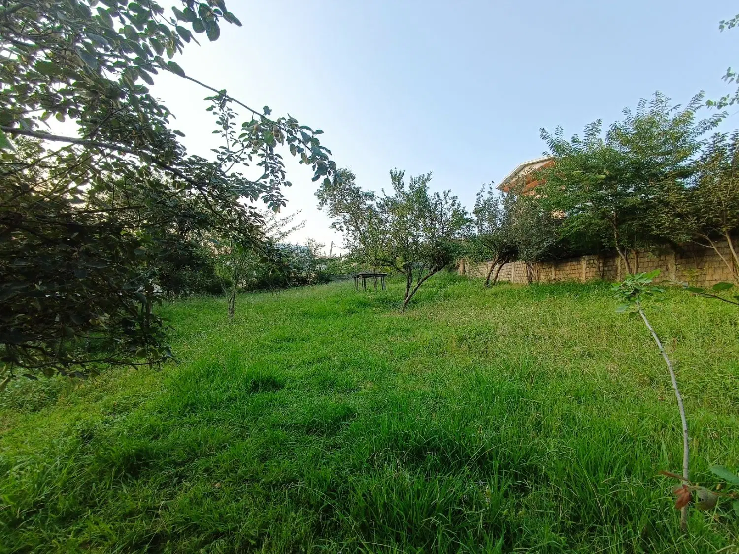 زمین باغی