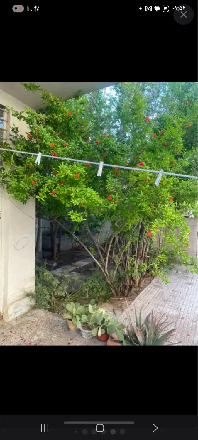 ویلایی ازادگان شرقی