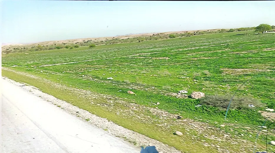 زمین فروشی