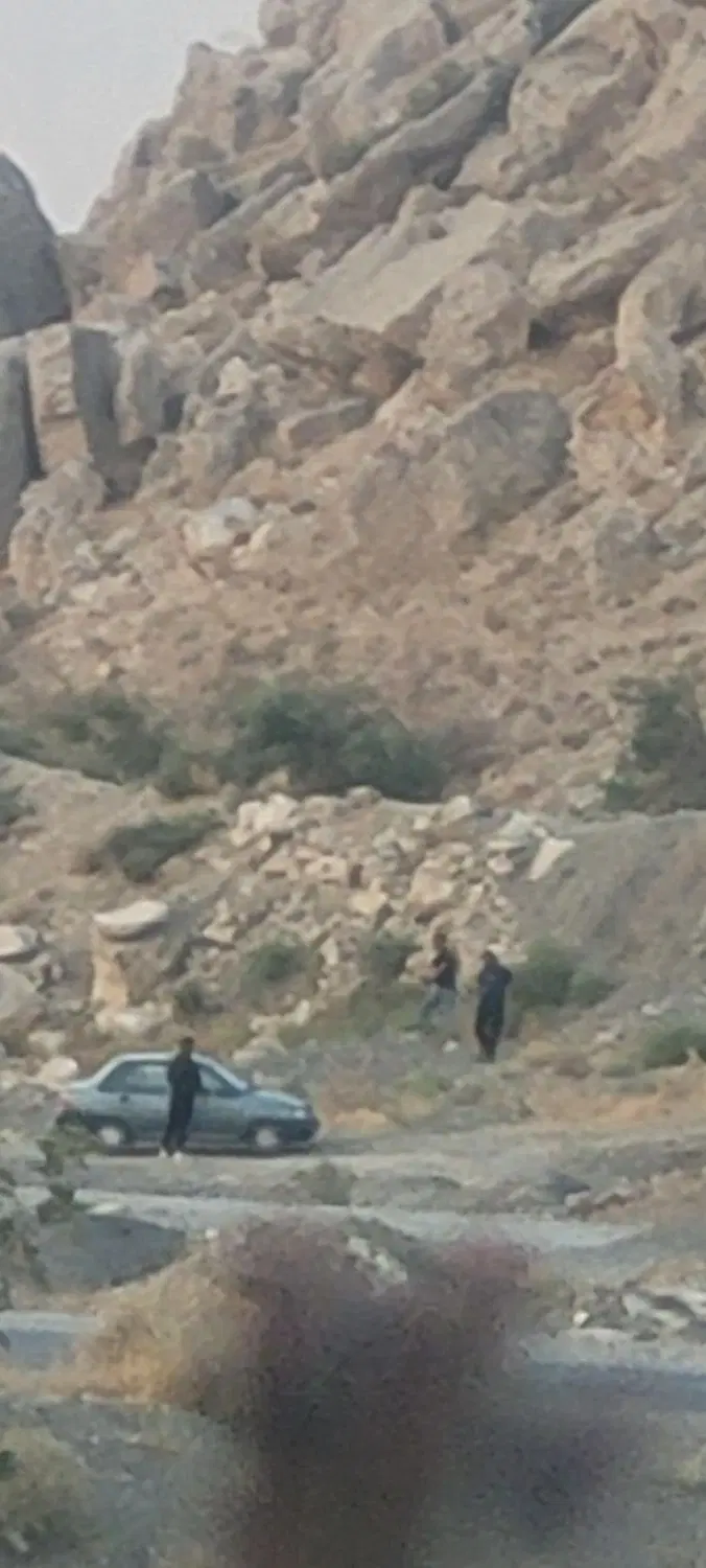 معاوضه زمین باگوسفند