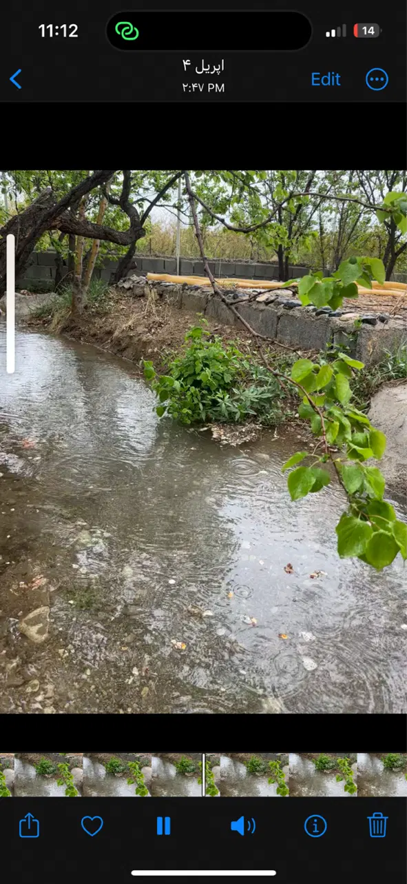 ویلایی ۳۰۰مترباغ شیخ