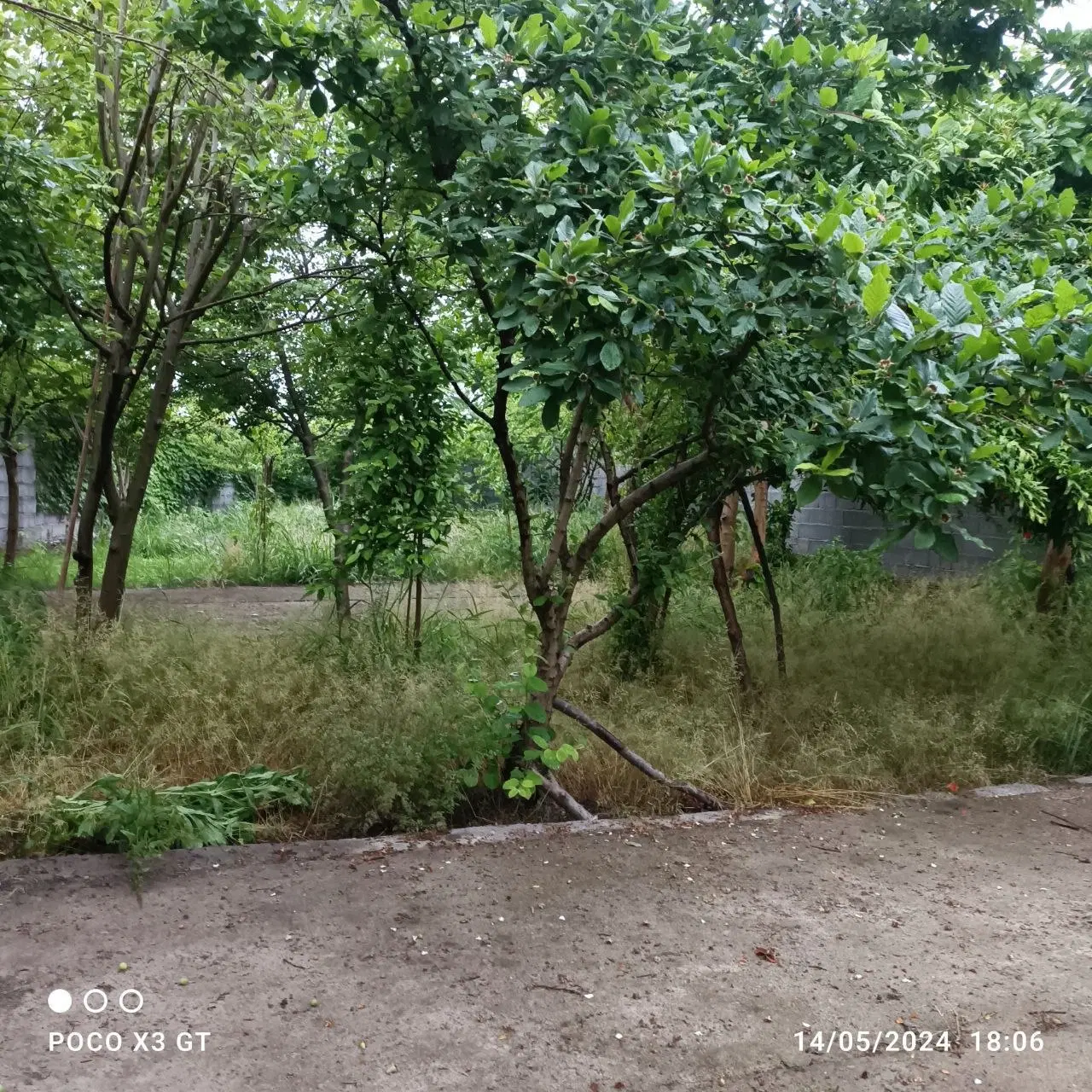 باغچه با مکان سرایداری