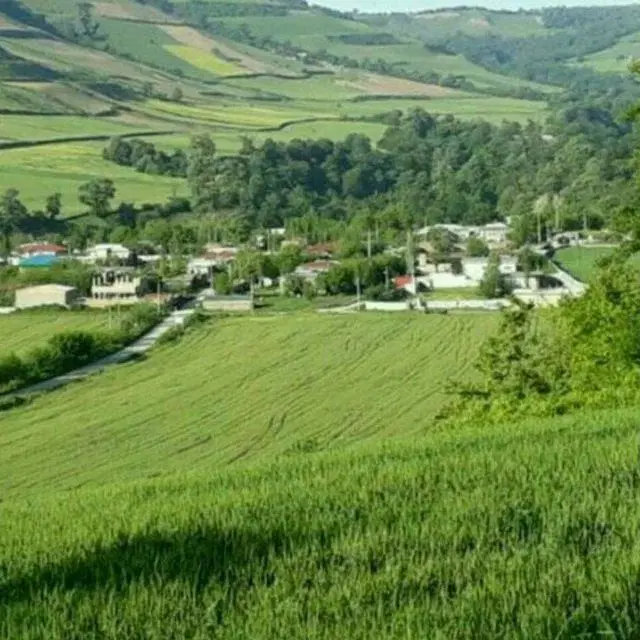 اجاره زمین کشاوری