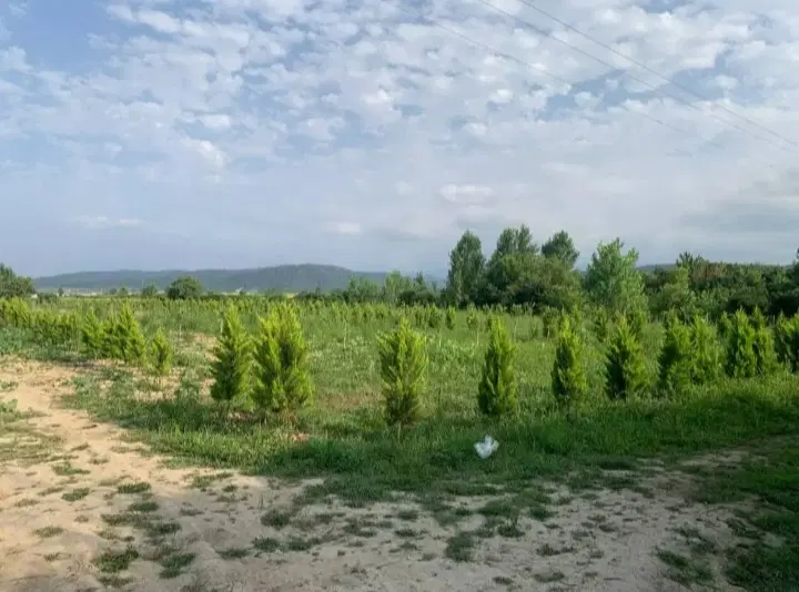زمین مناسب سرمایه‌گذاری