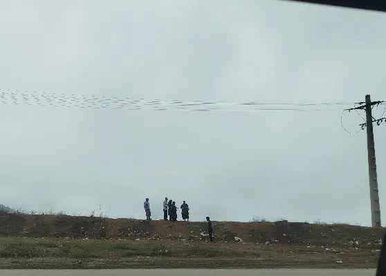 زمین اجاره برای کشاورزی گندم
