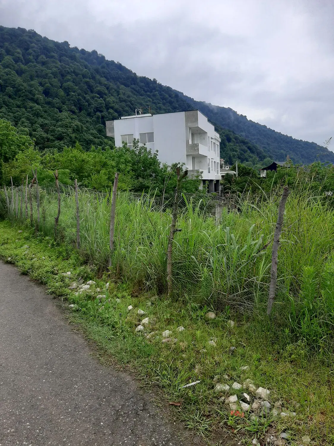 زمین ۱۸۰۰ متری هچیرود چالوس