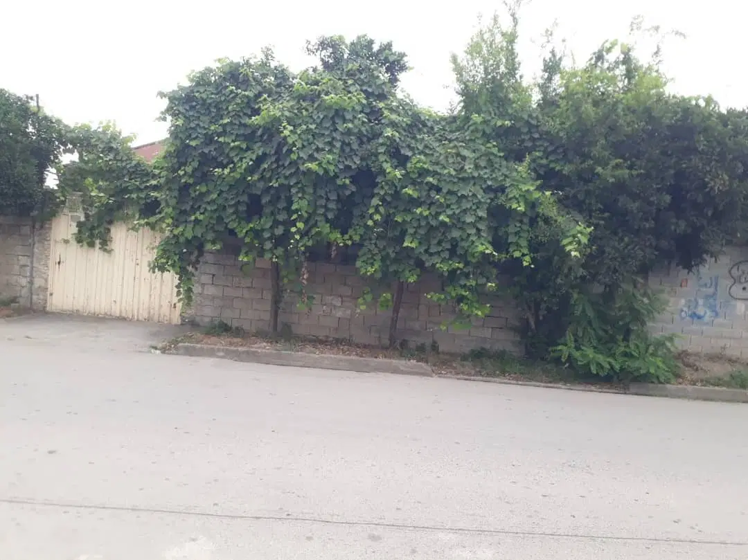 فروش دو قطعه زمین در پایین گنج افروز