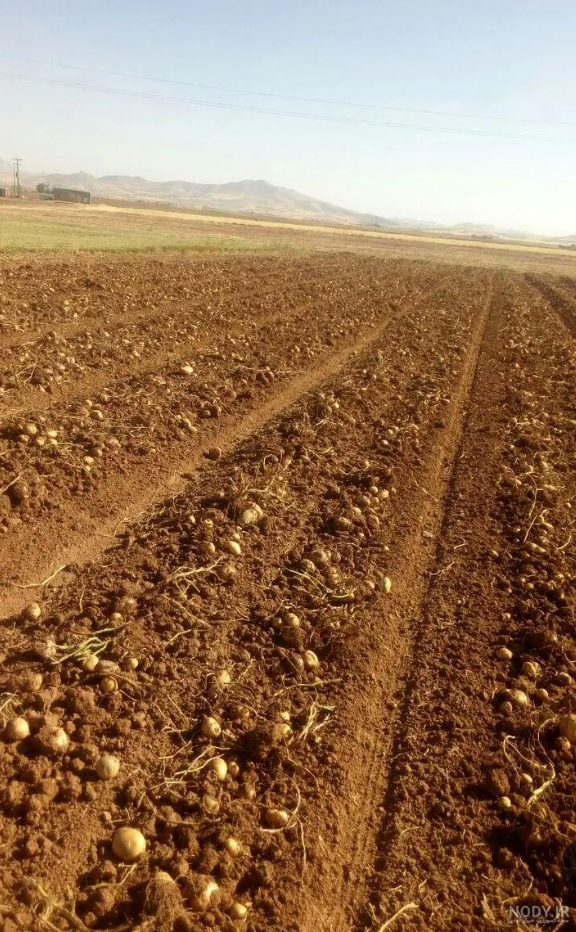 فروش زمین دشت بهریار