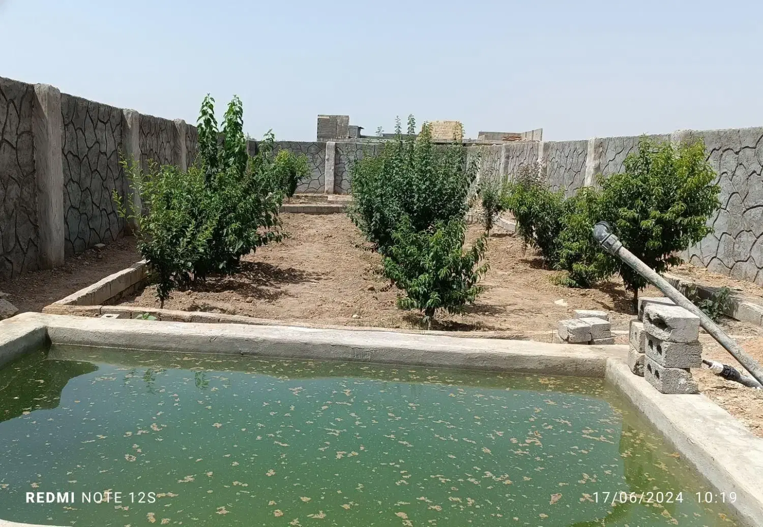 باغ چهاری دیواری محیط دنج آرام و با صفا