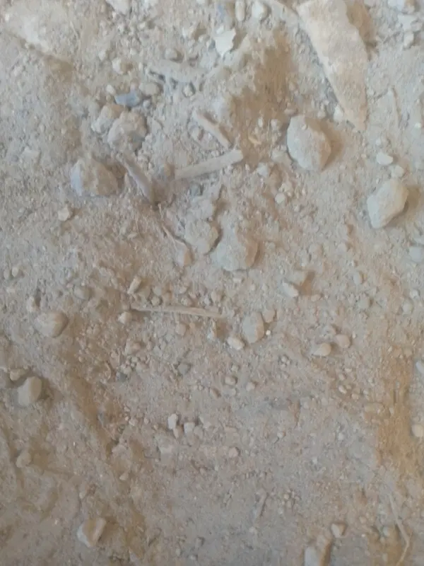زمین خیابان پرستار