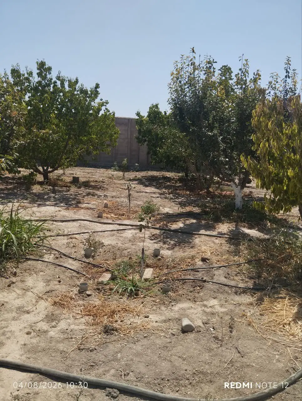 باغچه ۷۲۹ متری رامجین