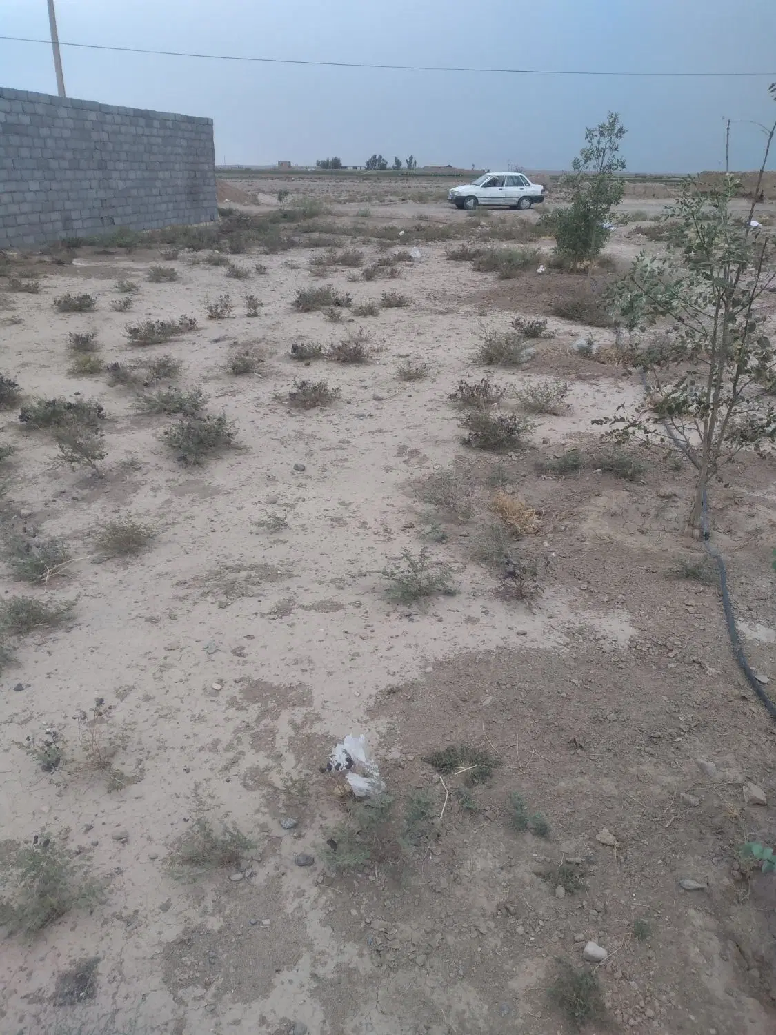 زمین فروشی قنوات روستای سراجه آماده ساخت