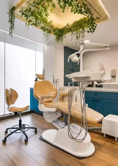 مطب ، دندانپزشکی ، دفترخانه ، دفتر کار