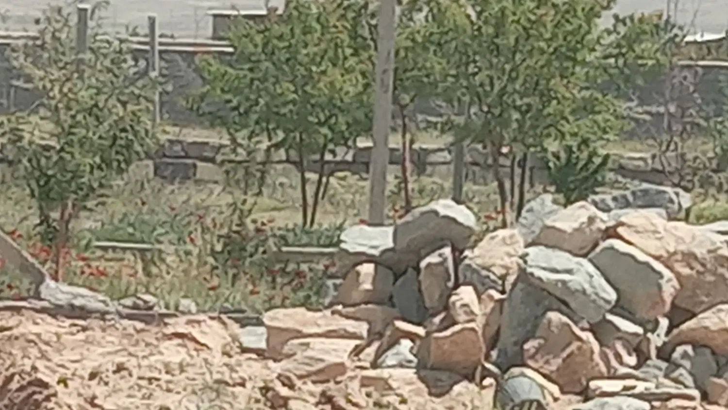 زمین  سند محضری