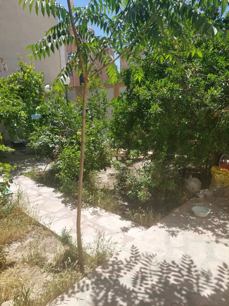 منزل کلنگی 320 متری با بر 16 متر در بلوار کشاورزی
