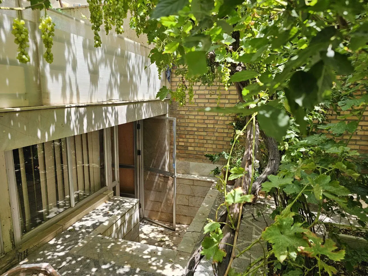 زیرزمین ۱۰۰ متری حیاط دار ۱ خواب