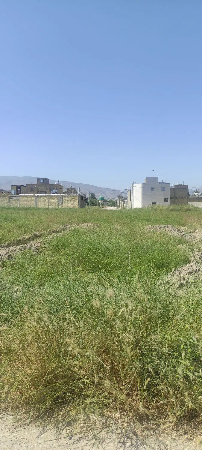 زمین نزدیک به کافه میرزا
