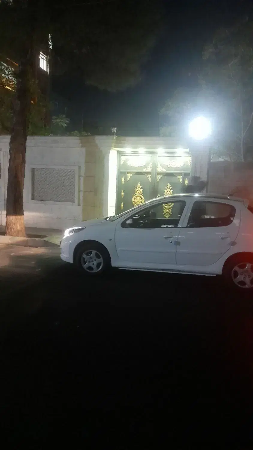 ویلایی شاخه اصلی