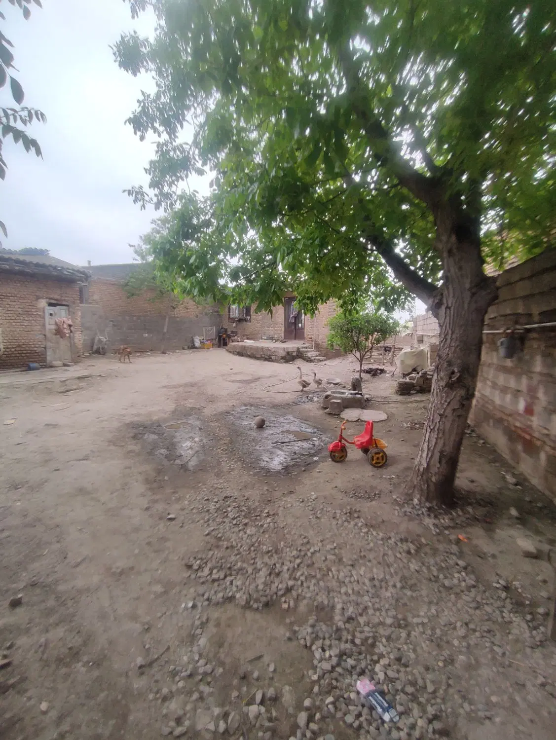 خانه 417