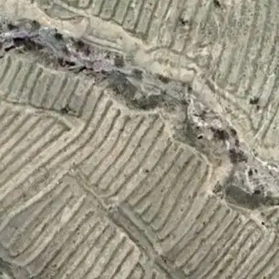 زمین کشاورزی